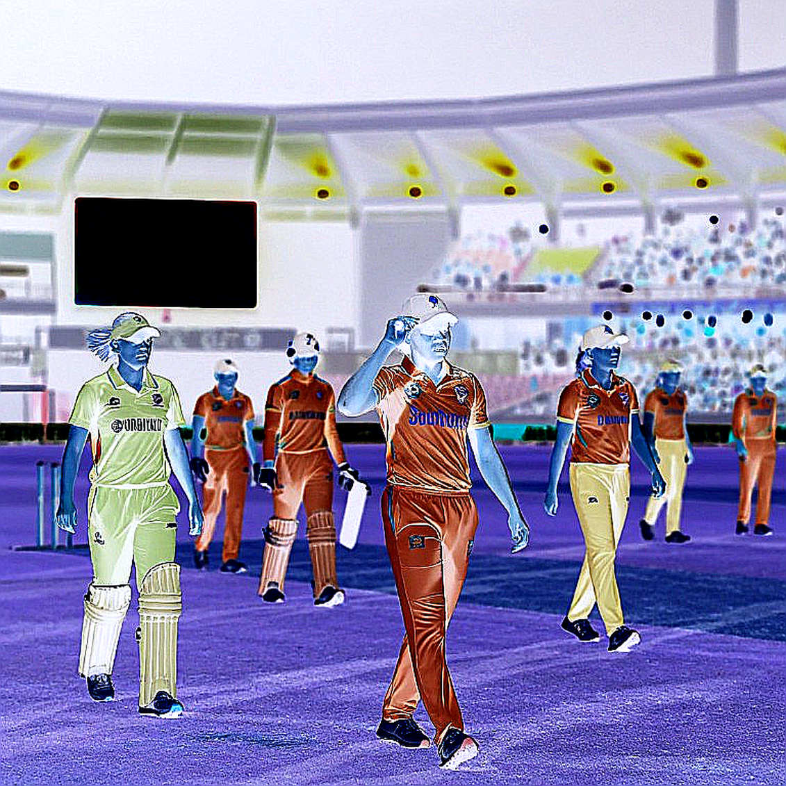 Contracts on the Screen, Sweat at the Nets: Crypto Escrow, NOCs and the Pulse of the BPL Dressing Room