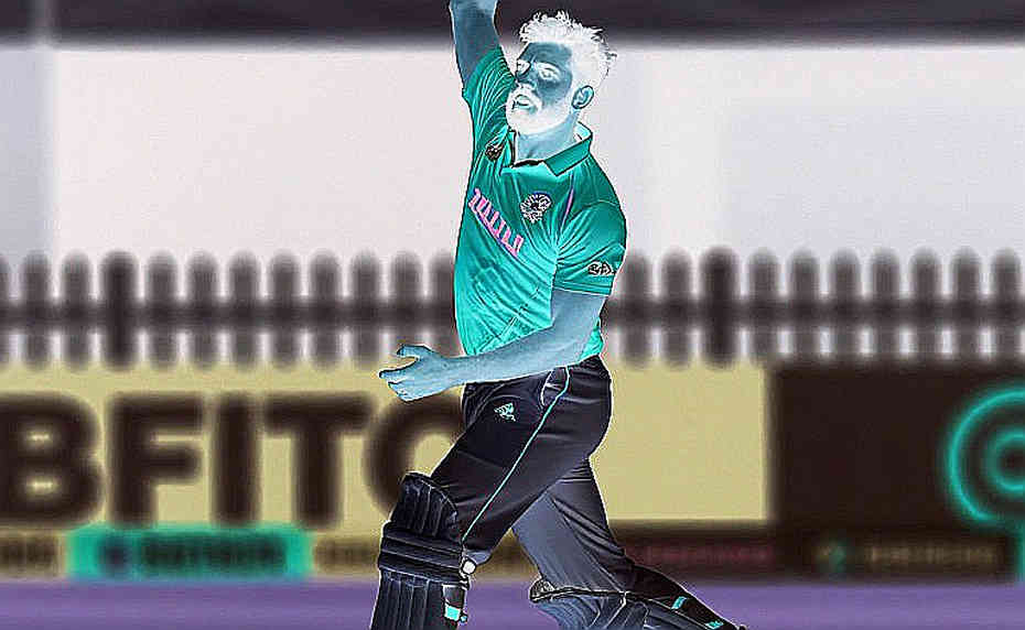The Auction Notebook: Pricing Rhythm in Asia's Cricket Market The Auction Notebook: Pricing Rhythm in Asia's Cricket Market