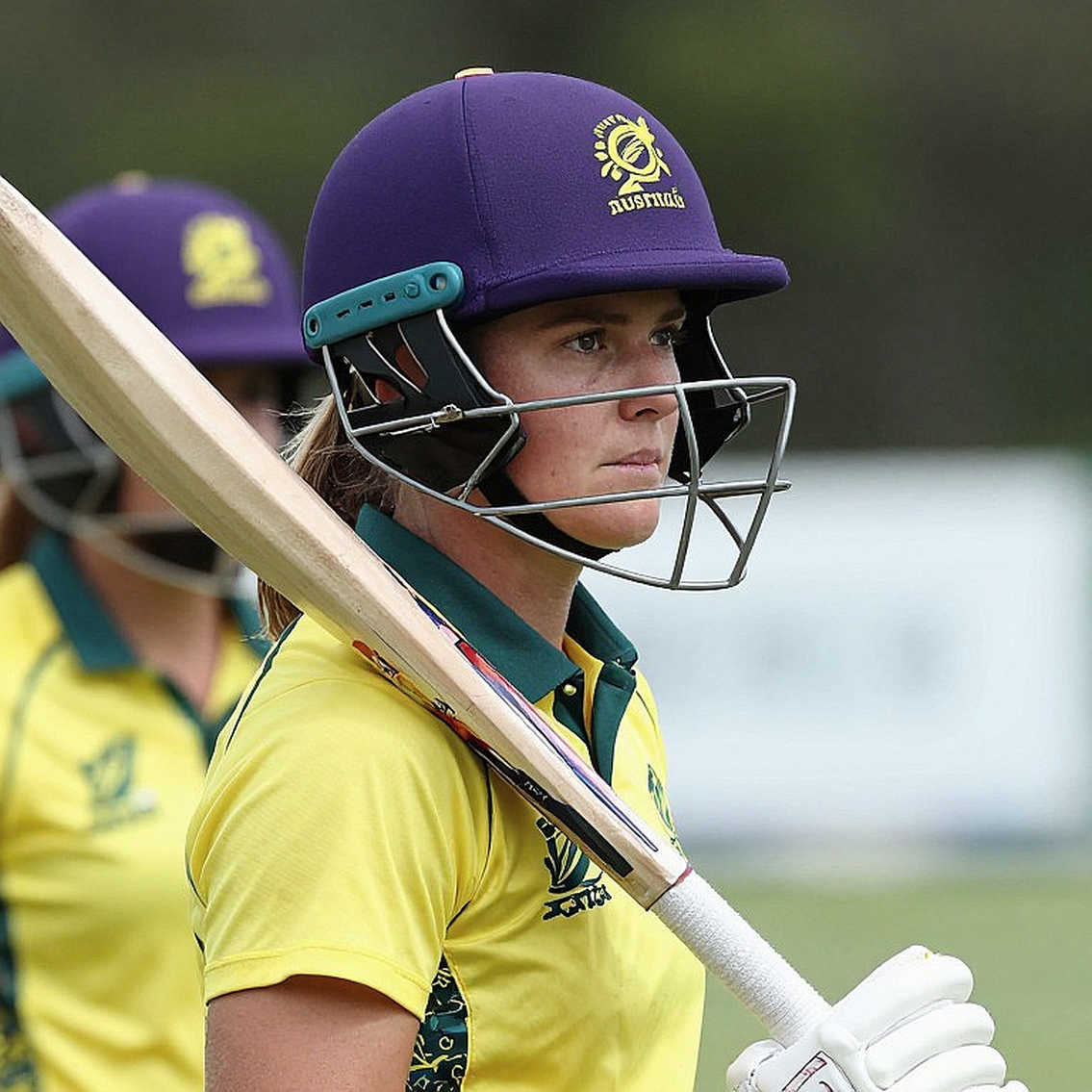The Auction Notebook: Pricing Rhythm in Asia's Cricket Market The Auction Notebook: Pricing Rhythm in Asia's Cricket Market