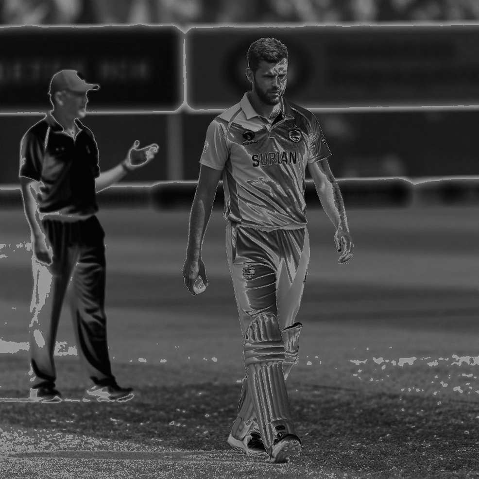 Auction Price and the Bowling Ledger: An Audit of Franchise Cricket's Mispricing Auction Price and the Bowling Ledger: An Audit of Franchise Cricket's Mispricing